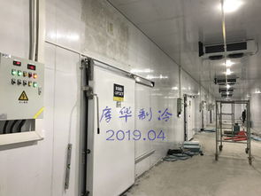 库华制冷工程案例分享 奶茶 五期 大型食品冷库设计安装