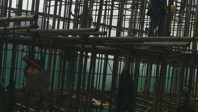 建筑土建安装工程现场施工工序 竹棚架搭设